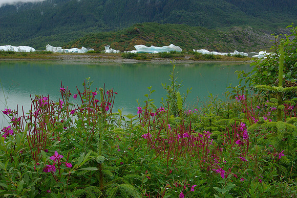 Mendenhall Glacier