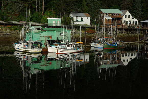 Elfin Cove