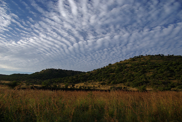 Morning in Nambiti Hills
