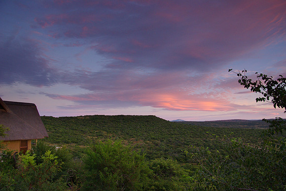Sunrise in Nambiti Game Reserve at Nambiti Hills Lodge